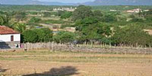 Mapu-CE-Paisagem do Serto cearense-Foto:Assis Cavalcante