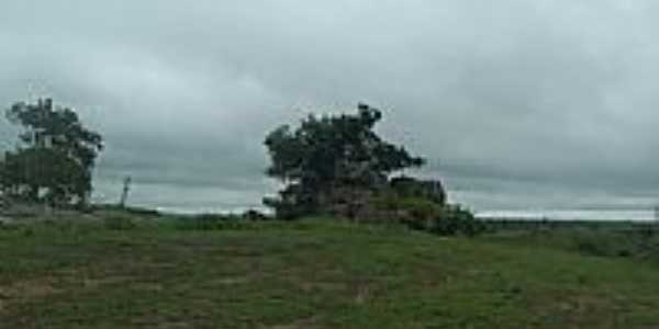 Pedra Histrica em Mel por edsonkpalacio