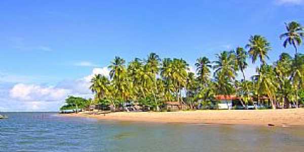 Porto de Pedras-AL-Praia de Patacho-Foto:niani