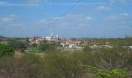 Nova Floresta - , Por Tarsis