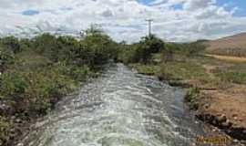 Novo Oriente - Novo Oriente-CE-Aude Flr do Campo-Foto:Cleomilton Pereira d 