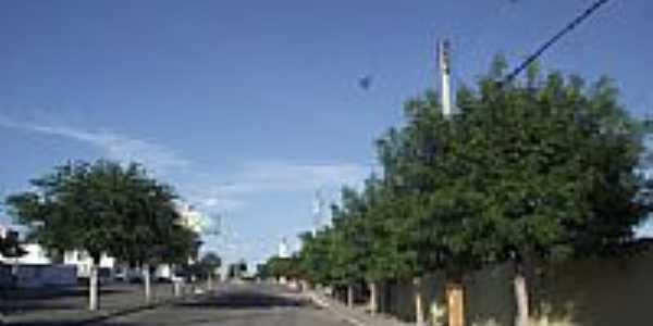 Avenida que corta a cidade de Palhano-Foto:Jairo SilaS