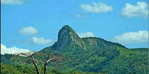 Imagens da cidade de Palmácia - CE