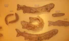 Santana do Cariri - peixes fossilizados, Por jose juraci almeida