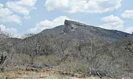 Tamboril - Tamboril-CE-Serra do Bico da Arara-Foto:WLuiz