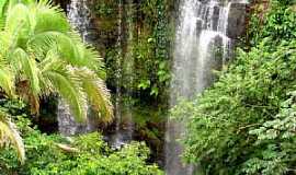 Tiangu - Cachoeira da Floresta - por Vandi Jr