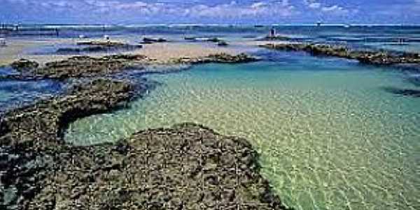 Trairi-CE-Piscinas naturais na praia das Fleixeiras-Foto:www.pbase.com 