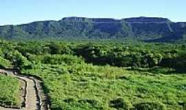 Tucuns - RPPN Serra das Almas em Tucuns por bekbra