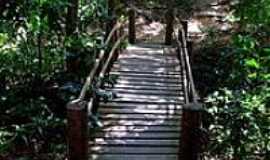 Ubajara - Ponte da Trilha no Parque Nacional de Ubajara -Foto:S. F. da Costa