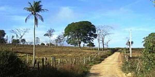 Serra da Mandioca-AL-Estrada do Povoado-Foto:JaloNunes f