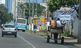 Divino Esprito Santo - Carroa na Av.Luciano das Neves-Foto:Renato Ximenes