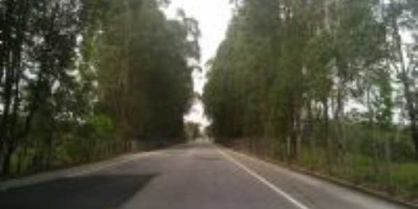 ponte de itabapoana  e., Por Welliton Campos