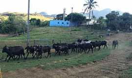 Santa Anglica - Imagens da localidade de Santa Anglica - ES