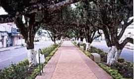 Augusto Montenegro - Avenida-Foto:blogdoprofessorbolivar.