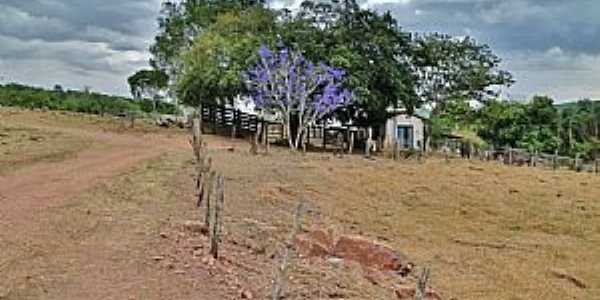 gua Limpa-GO-Paisagem rural-Foto:Reginaldo Moronte 