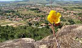 Anicuns - Flor na Serra do Felipe e a cidade ao fundo-Foto:Joo Mols