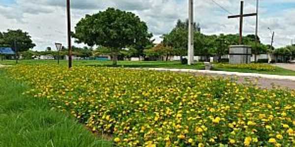 Imagens da cidade de Araguapaz - GO