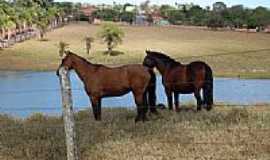 Avelinpolis - O paraiso  aqui-FotoJuscelino bati:sta st