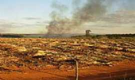 Brazabrantes - Corte de cana-Foto:Jos Nery Galvo 