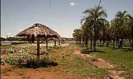 Cachoeira Dourada - Cachoeira Dourada-GO, por Fernando N Branco. 