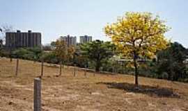 Caldas Novas - O Ip e a cidade de Caldas Novas-GO-Foto:Paulo Yuji Takarada