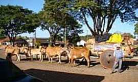 Catura - Carros de Boi-Foto:Eleusmario M. Rabelo