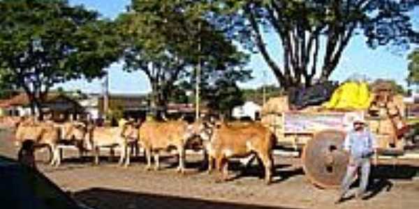 Carros de Boi-Foto:Eleusmario M. Rabelo