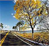 Imagem da cidade de Corumbaba - GO
