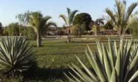 Fazenda Nova - PRAA ALBERINDA, NO SETOR AEROPORTO, Por JRFAZNOVA