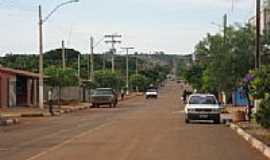 Gameleira de Gois - Avenida das Palmeiras-Foto:fernando.demartini