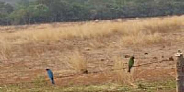 Paisagem-Foto:Brasil Fleury Pinho 