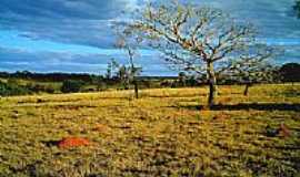 Israelndia - Cerrado de Israelndia-Foto postadada por:iane1ferreira