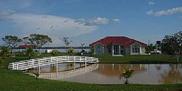Imagens da cidade de Codajs - AM - Terra do Aa 