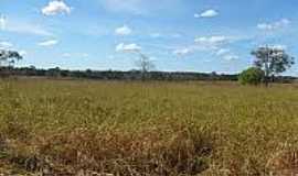 Novo Planalto - Fazenda no Municpio de Novo Planalto-Foto:mfrural.