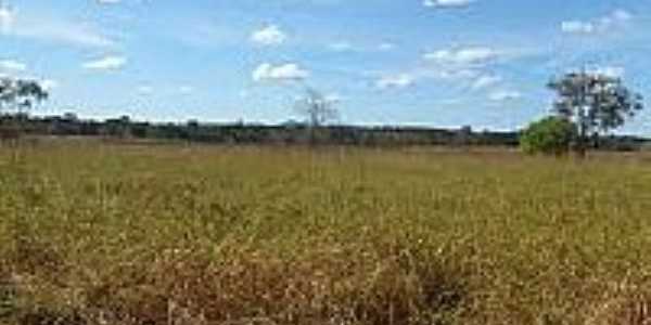 Fazenda no Municpio de Novo Planalto-Foto:mfrural.