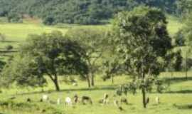 Taquaral de Gois - vista de uma outra fasenda, Por sirley