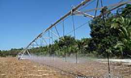 Aldeias Altas - Sistema de irrigao em Aldeias Altas-MA-Foto:Isaias Cunha