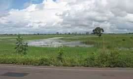 Arari - Arar-MA-Campos alagados  beira da Rodovia-Foto:jorgeluisfernandes