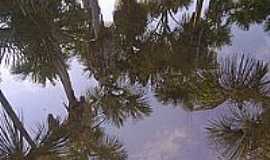 Barra do Corda - Reflexo do Buriti