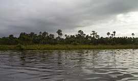 Barreirinhas - Barreirinhas-MA-Rio Preguias-Foto:Parruco