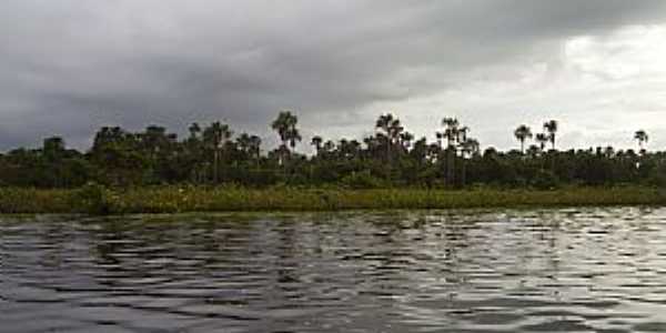 Barreirinhas-MA-Rio Preguias-Foto:Parruco