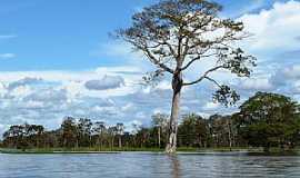 Manaquiri - Manaquiri-AM-Rio Amazonas-Foto:Ricardo Hossoe