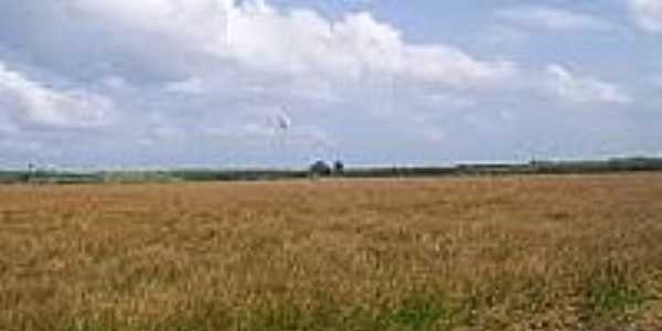 Vista areaVista dos campos de Godofredo Viana-Foto:maranauta.