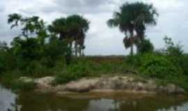 Junco do Maranho - Igarap Santo Antonio, Por Daurivan Nobre