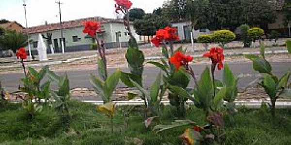 Imagens da cidade de Loreto - MA