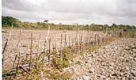 Mirinzal - Campo Agrcola-Foto:DOS ANJOS VERAS, Car