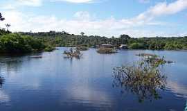 Novo Airo - Novo Airo-AM-Navegando em rio na Selva Amaznica-Foto:silmarq