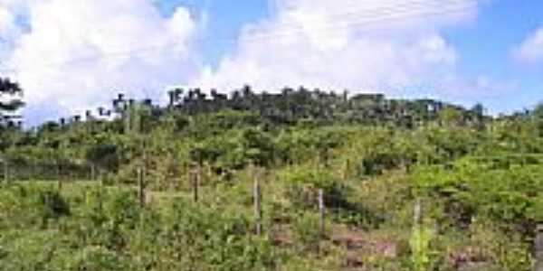 Morro dos Ccos em So Mateus do Maranho, por Valdemir Ervin Rosales.