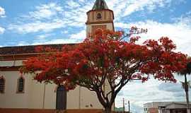 Abadia dos Dourados - Abadia dos Dourados-MG-Flamboyant ao lado da Matriz-Foto:Eduardo Revoredo