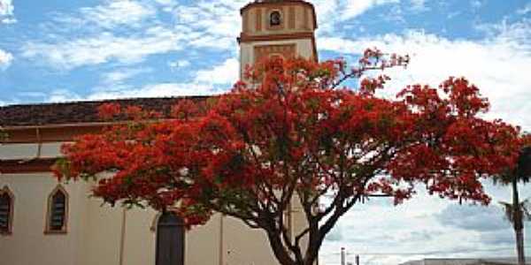 Abadia dos Dourados-MG-Flamboyant ao lado da Matriz-Foto:Eduardo Revoredo